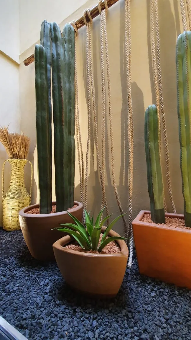 Composición de cactus y suculentas en macetas de barro