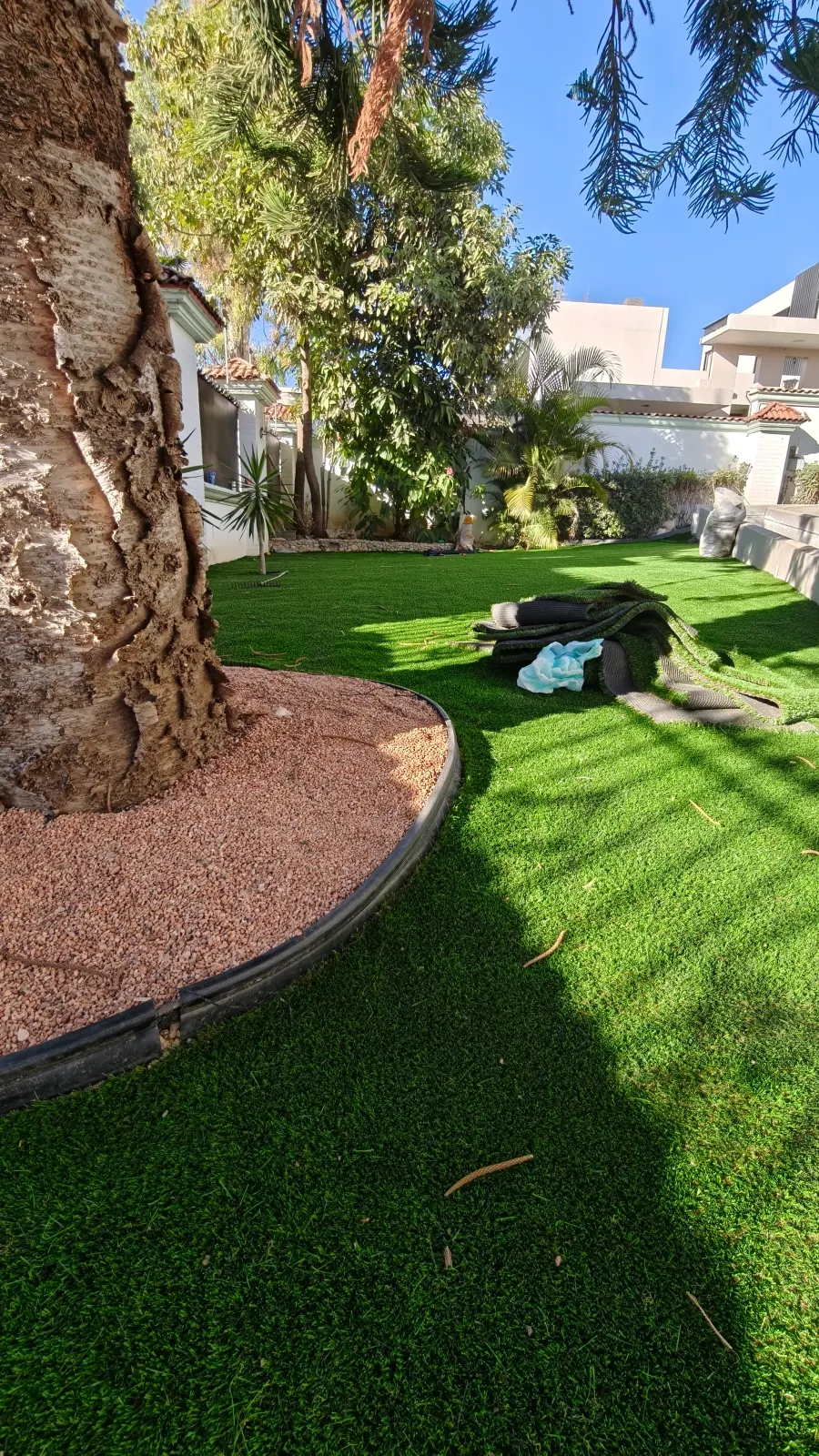 Rollos de pasto sintético listos para instalar junto a un árbol
