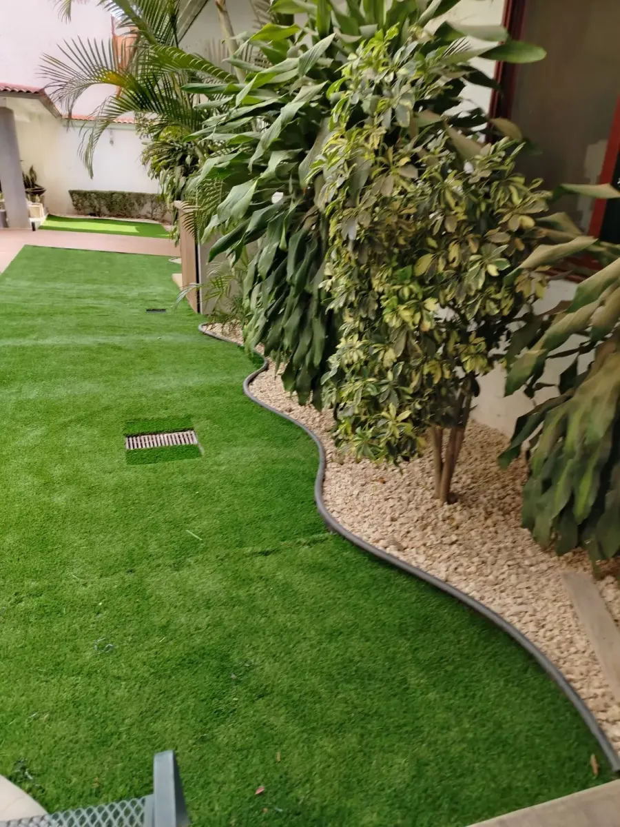 Jardín terminado con curva de grava blanca, palmeras y plantas ornamentales junto a un muro