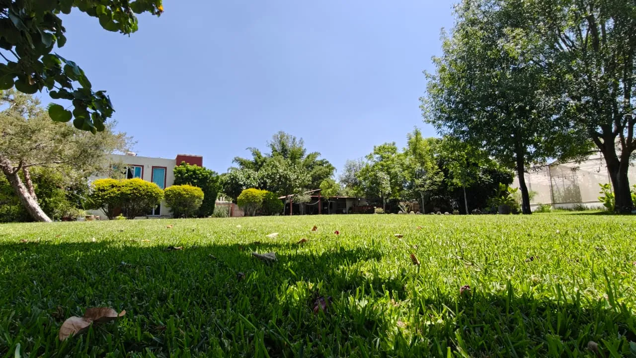 Jardín amplio de pasto natural con árboles y casa al fondo