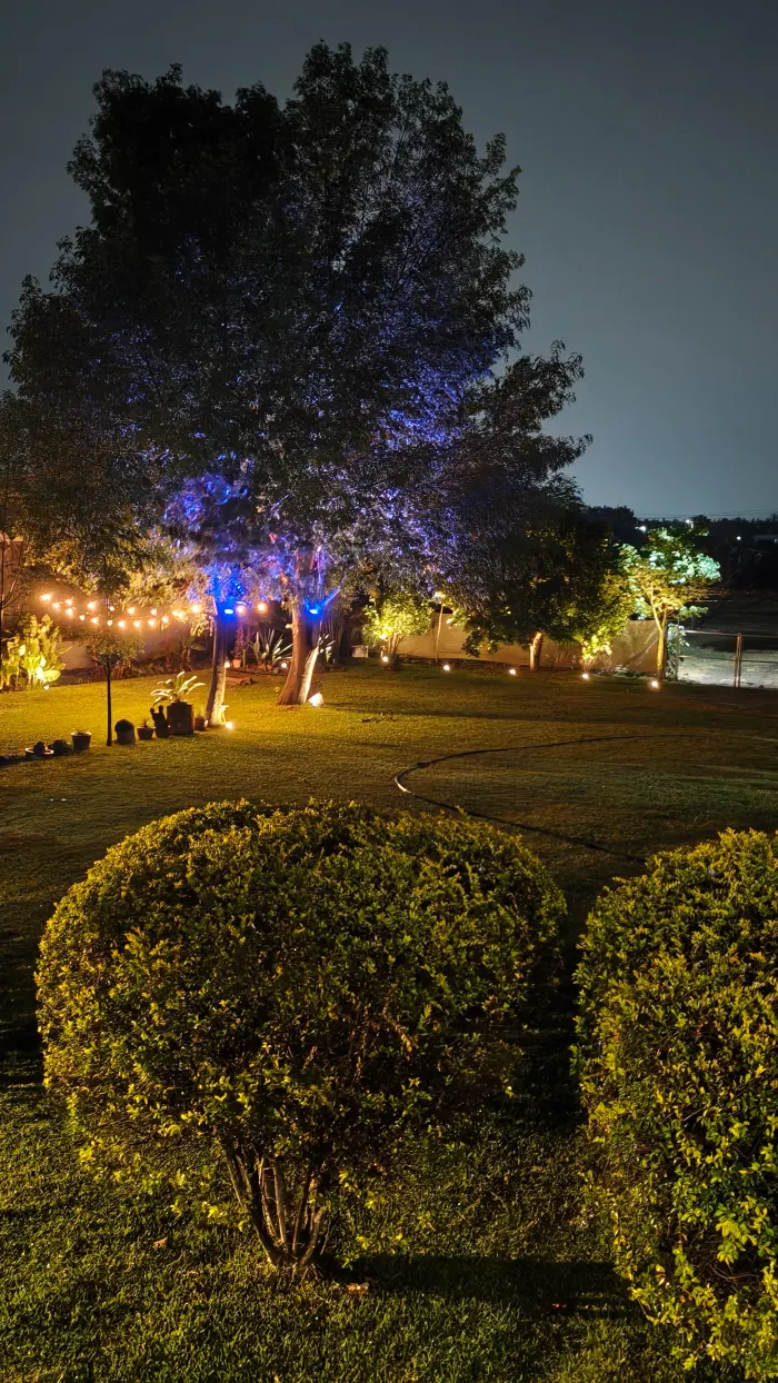 Jardín con iluminación nocturna